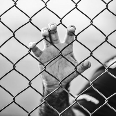 Man's hand grasping a wire prison fence